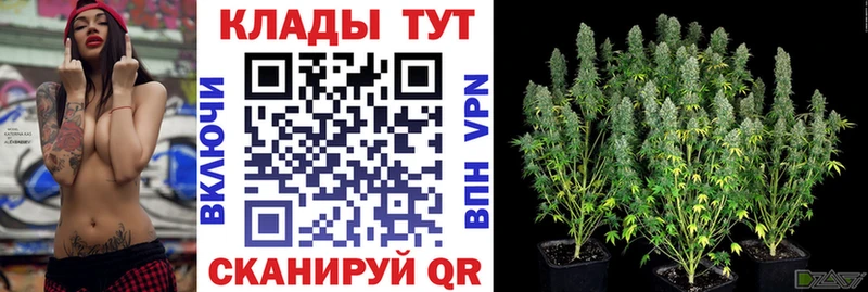 Купить наркоту Махачкала Cocaine МАРИХУАНА Alpha-PVP Гашиш блэк спрут маркетплейс Мефедрон