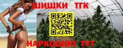 крисы Владикавказ