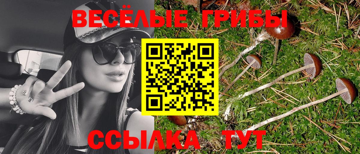 Псилоцибиновые грибы Psilocybine cubensis Махачкала