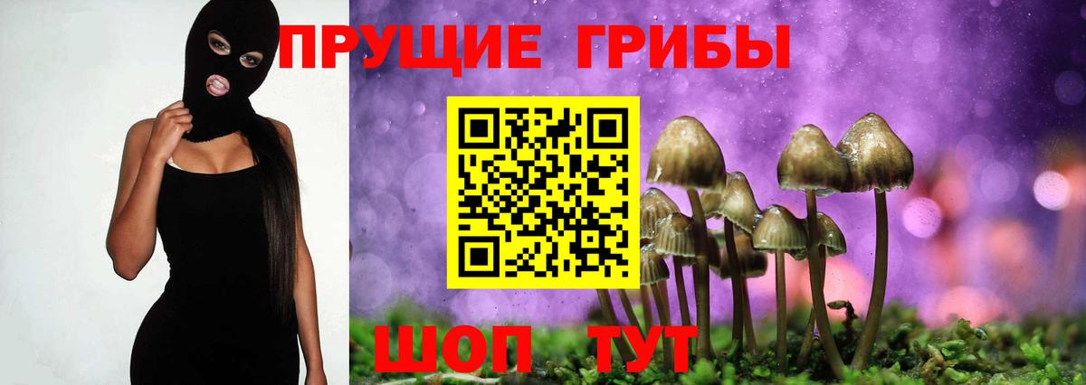 Махачкала  купить   Галлюциногенные грибы MAGIC MUSHROOMS  Вход с VPN  Галлюциногенные грибы GOLDEN TEACHER 