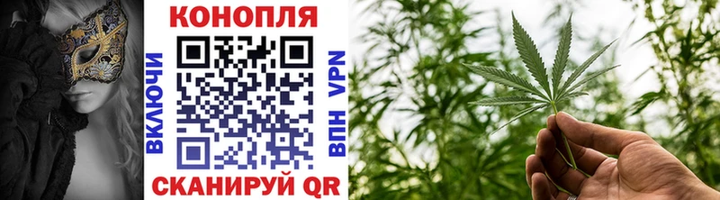 где купить блэк спрут зеркало Конопля семена Махачкала
